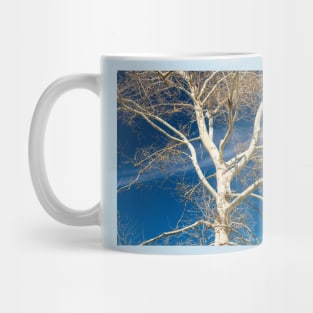 Branches and sky Mug
